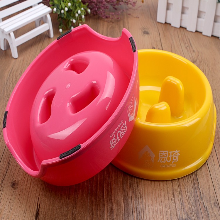 slow bowl feeder for dogs.JPG